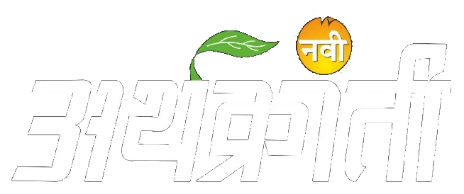 नवी अर्थक्रांती