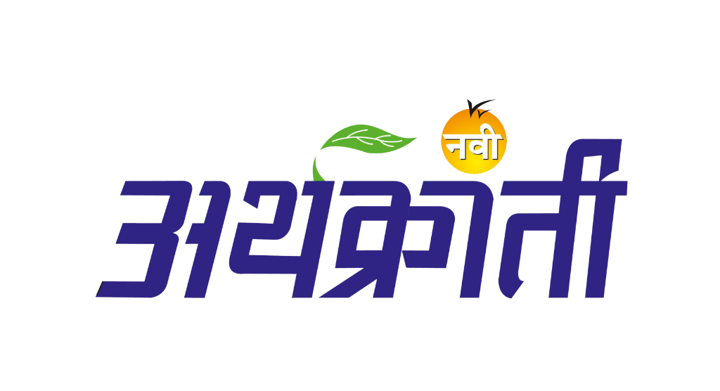 नवी अर्थक्रांती