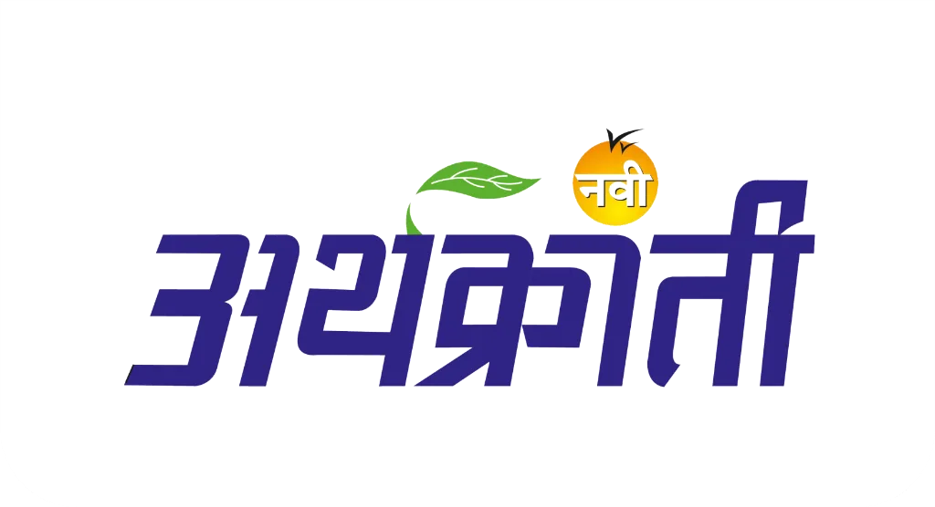 नवी अर्थक्रांती