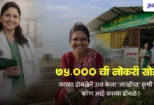 पांढऱ्या कोटातून मातीच्या सेवेपर्यंत: ७५,००० ची नोकरी सोडून काव्या ढोबळेने उभा केला 'लाखोंचा' कृषी ब्रँड! कोण आहे काव्या ढोबळे? जाणून घ्या.