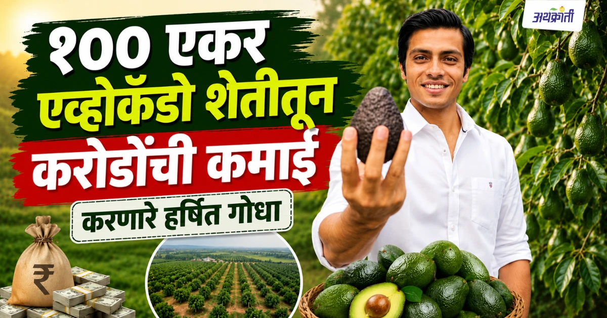 Harshit Godha Success Story: Avocado Farming ने कमावले कोट्यवधी